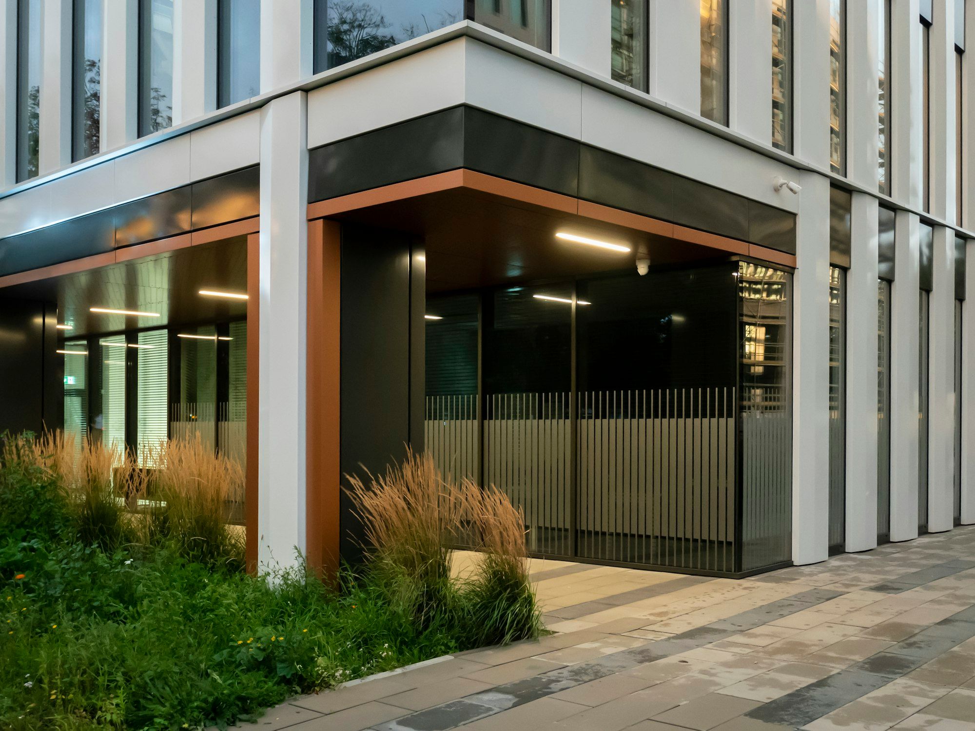 A modern building entrance under a lit canopy, with ornamental grasses along a flat paved walk